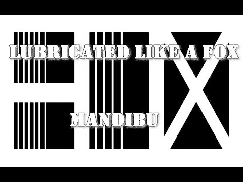 BOX - BOX - Lubricated like a Mandibú - DIY videoklip (2018)