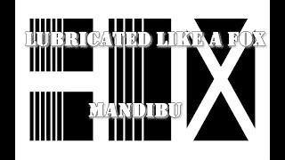 Video BOX - Lubricated like a Mandibú - DIY videoklip (2018)
