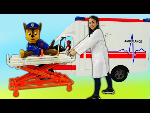 Lustige Schule für Kinder. Chase Spielzeug von der Paw Patrol ist krank. Zeichentrick für Kinder.