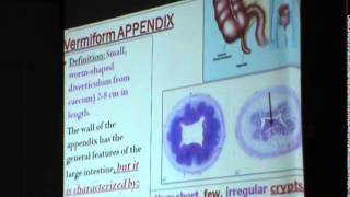 6) Dr.Noha Afyfy 19/11/2014 [large intestine]