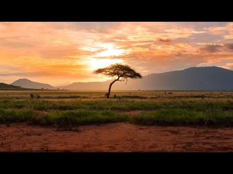 Russell Zuma Ft Gaba Cannal,George Lesley - Ngise Mathandweni