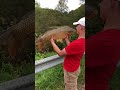 BIG 18lb COMMON CARP at Thorn run #fishing #carpfishing #lake #bait #angler #bigfish