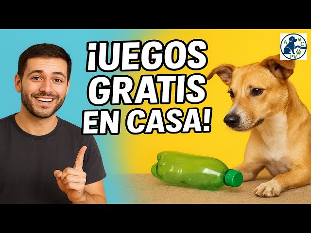 Video relacionado