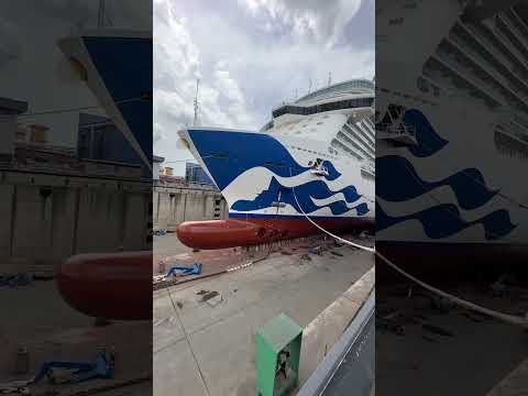 Thumbnail for Discovery princess Dry Dock#cruiseship