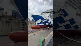 Discovery princess Dry Dock#cruiseship