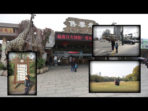 Xen | Visita o Yancheng Safari Park China | Show de circo | Parte 4