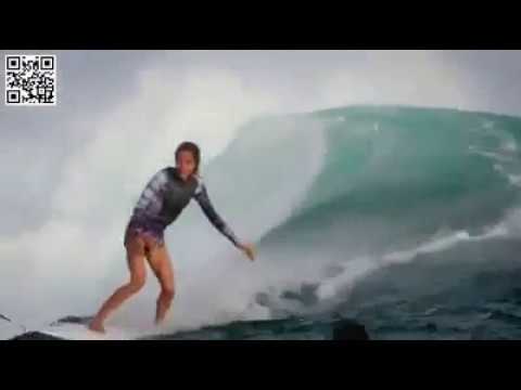 FRANKIE HARRER v THE  RADIO BIRDMAN