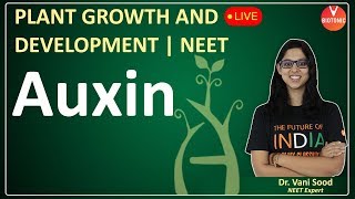 AUXIN in Plants |  Plant Growth and Development | CBSE Class 11 Biology | NEET 2022 | VBiotonic