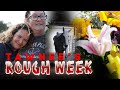 Tawnee's Rough Week | Horse Shelter Heroes S3E35