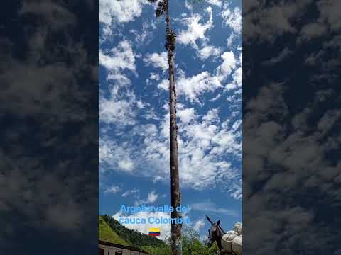 mi linda Argelia valle del cauca 🇨🇴❤️