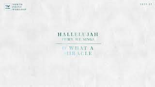 Hallelujah (Why We Sing)