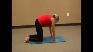 preview picture of video 'CFWLS Fitness - Cat Cow Stretch with Susan'