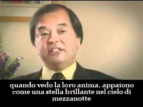 Indigo Evolution Evoluzione Indaco ita 1 7