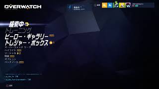 オーバーウォッチ　　てきと