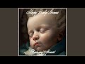 Symphony No 28 In C 2 Andante K 200 Pt 3