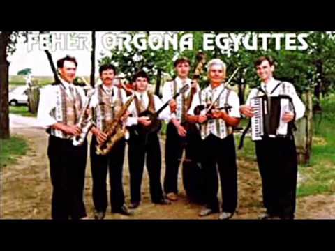 Fehér Orgona együttes -  Az eke a földet, Kiskertemben kinyílott a jácint, Ez a csinos barna kislány