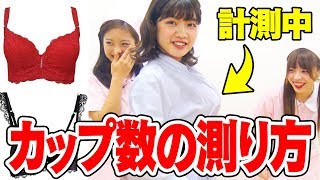 【お◯ぱい】カップ数の測り方を教えて？【教えてせいか先生！】