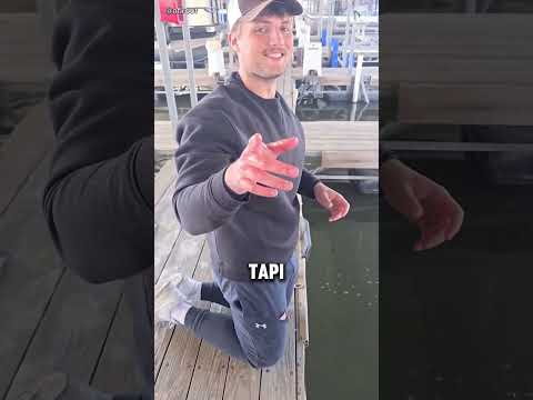 Hampir Aja Dibawa Kabur Ikan