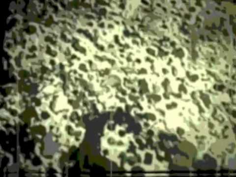 The Noisy Terrorist - Buried