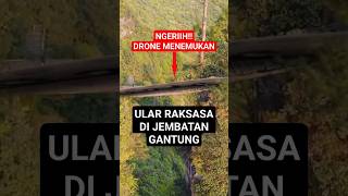 Download lagu Penemuan ular besar di atas jembatan gantung #shorts #ularbesar mp3 Download lagu Penemuan ular besar di atas jembatan gantung #shorts #ularbesar mp3