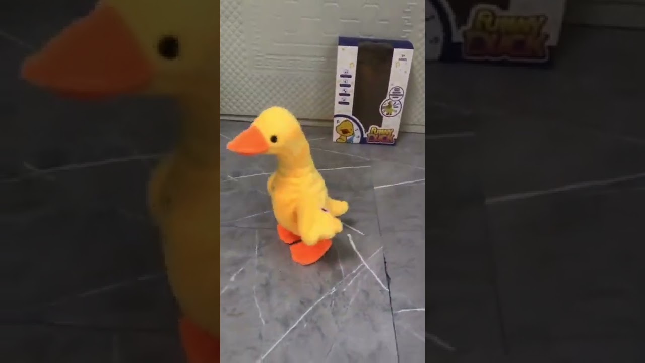 Cuki táncoló és éneklő kacsa videó