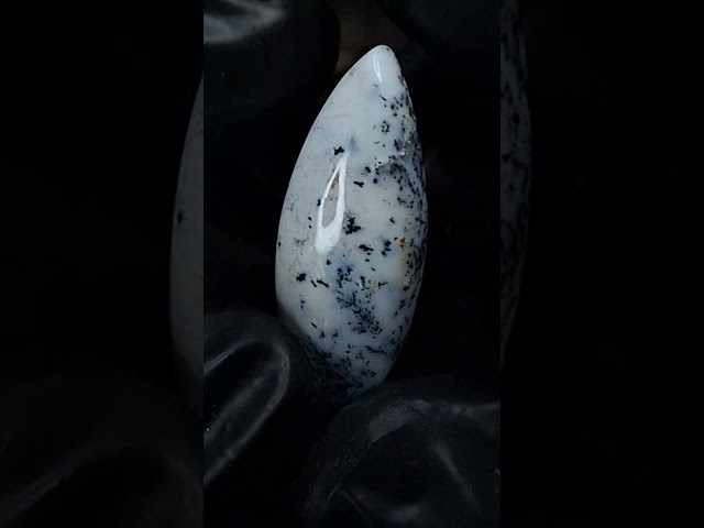 حجر اوبال شجري طبيعي