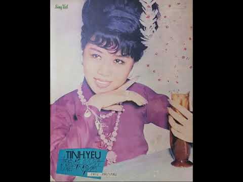 Tình yêu trong mắt một người - Phương Dung