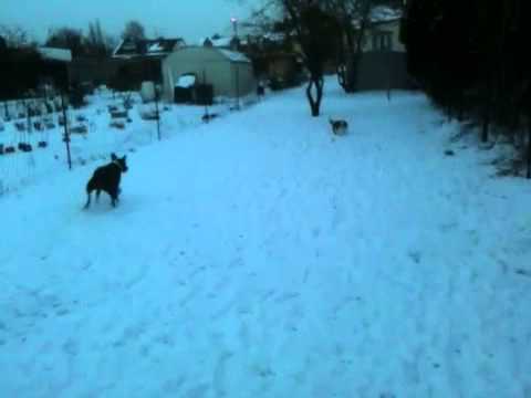 comment guerir l'ataxie