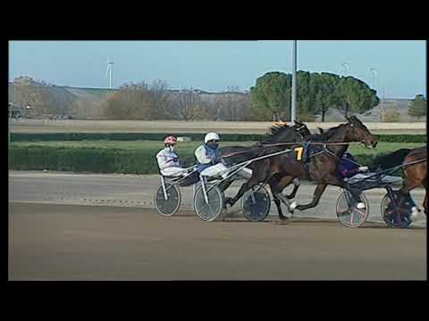 Ippodromo dei Sauri - 3' corsa del 11.12.2022