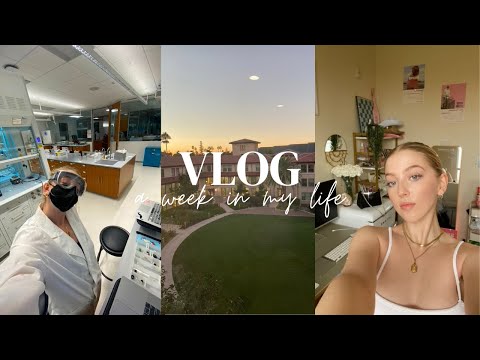 a week in my life | sophomore year scu