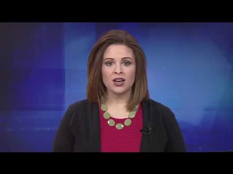 Service Dog Assist with Epileptic Seizures