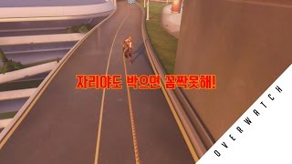썸네일 이미지