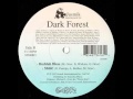 Dark Forest Buddah Bless