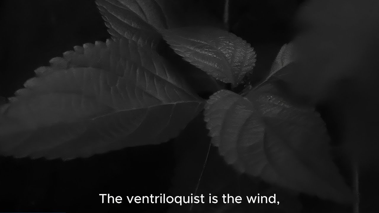 Thumbnail for inStillness