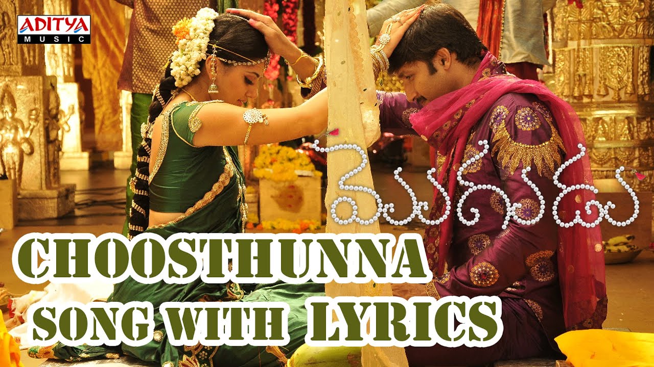 Choosthunna Lyrics  | Mogudu | Gopichand, Shraddha Das, Taapsee | Karthik | Babu Shankar