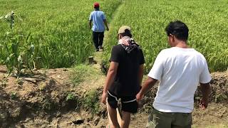 preview picture of video 'Ketemu Ular Survey Sawah warisan keluarga 1500 meter di Purwodadi'