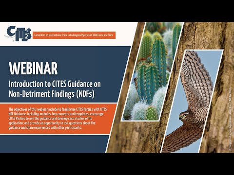CITES Webinar: Introduction to CITES Guidance on Non-Detriment Findings (NDFs)