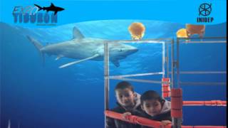 DIA 3 Expo Tiburon156