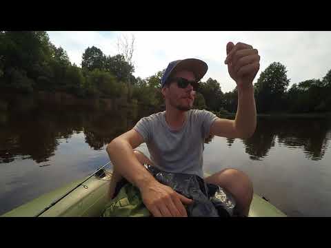 Kāpēc Niknajam nepatīk Igauņi?