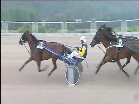 Trotto 14/06/2018 - 1ª corsa