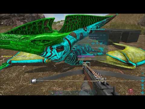 Taming event dinos! SOLO SMALLTRIBES PVP with Martin Slow #102