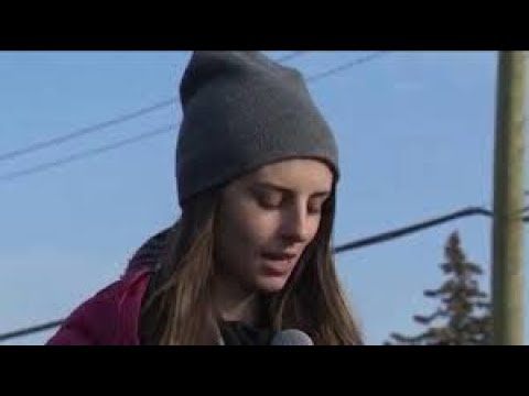 脱構築。リンジー・シェパード事件 (Deconstruction: The Lindsay Shepherd Affair)