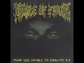Of Dark Blood And Fucking - Cradle Of Filth
