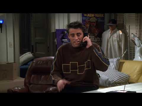 Přátelé-Rossovy kožené kalhoty