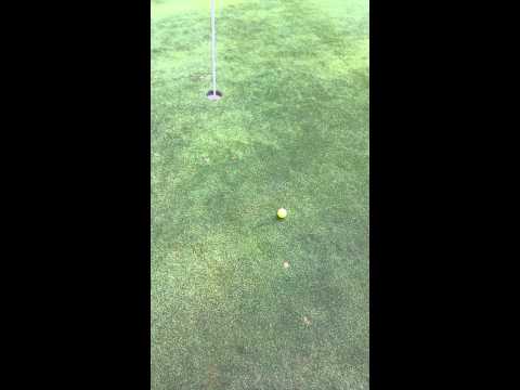 Flanders Valley Gold - 14th Green