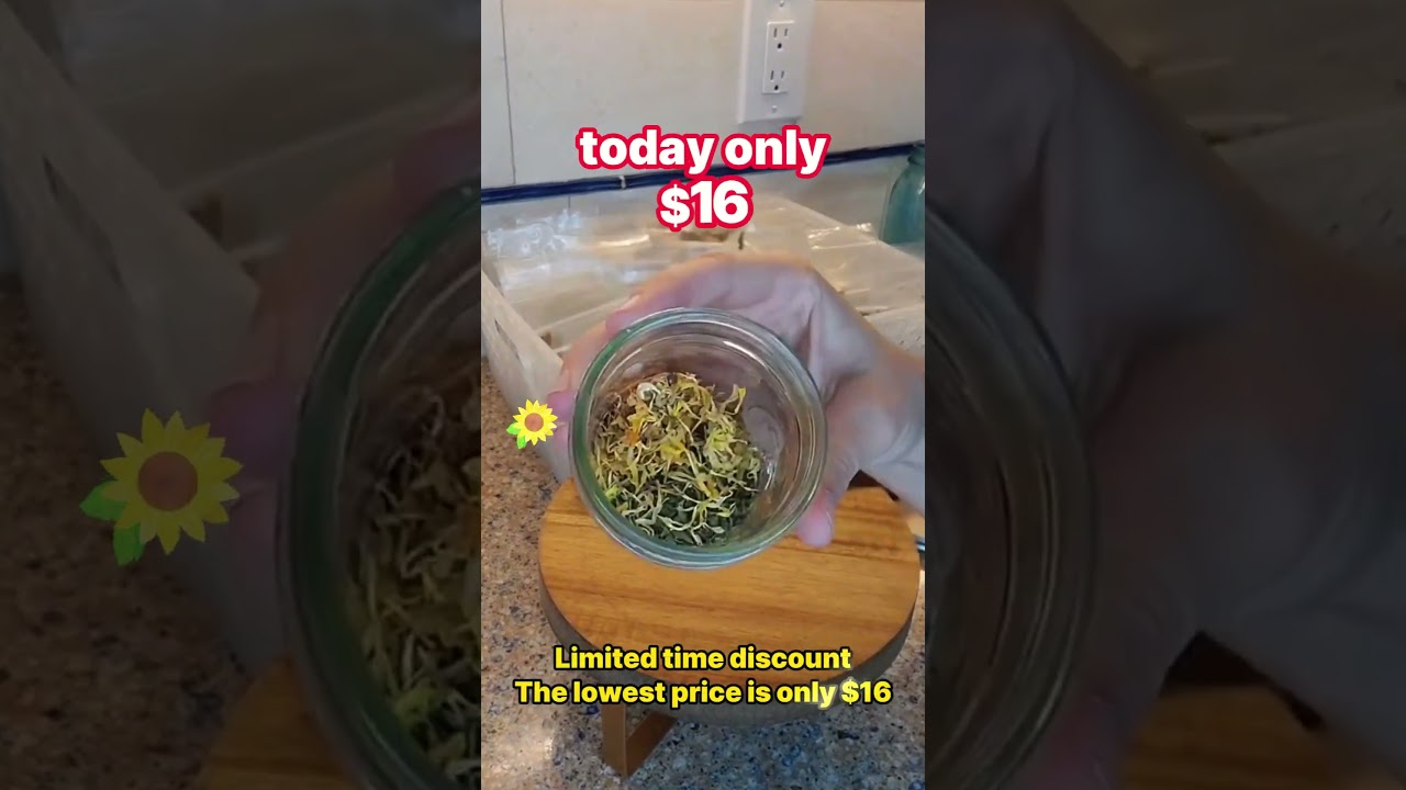 Essential book for every home: simple holistic wellness guide #holisticwellness