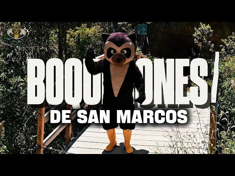 Las cuevas que dieron nombre a Azogues | Historia y aventura en Ecuador