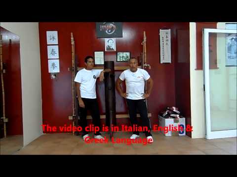 Wing Chun Kuen EWCA -Wong Shun Leung,Loukas Kastrounis  Franco Regalzi2014