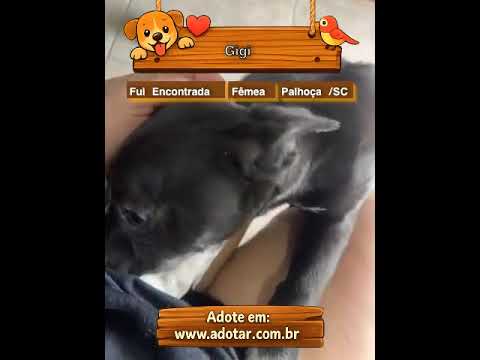 Vídeo de Gigi 