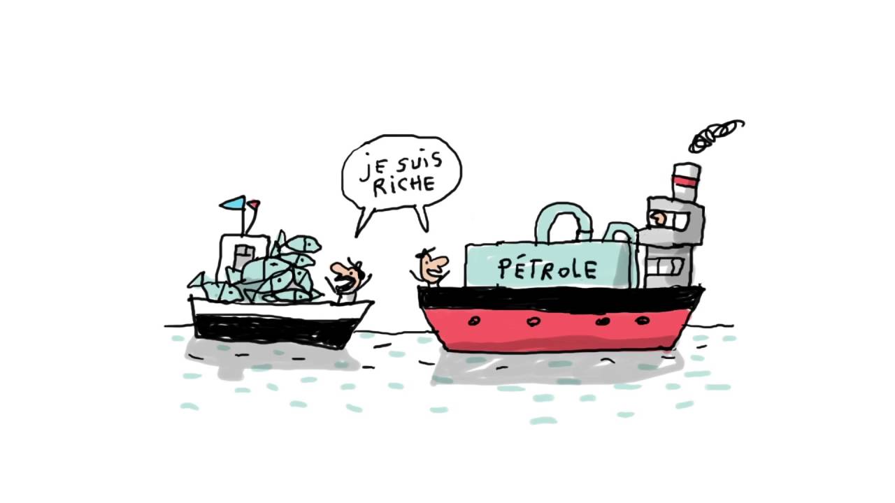 L’écologie expliquée aux enfants  - 1 jour, 1 question